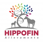 MAIN PARTNERS MEDIAHORSESRACE - Mediahorsesrace