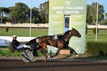 PUBBLICIZZA I TUOI STALLONI SU "TROT STALLIONS DIRECTORY" PER LA STAGIONE 2025 - Mediahorsesrace