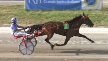 - Mediahorsesrace.com